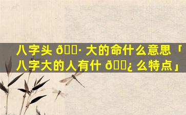 八字头 🌷 大的命什么意思「八字大的人有什 🌿 么特点」